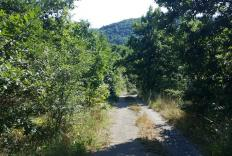 28 000m2 de forêt de chênes à vendre en Bulgarie